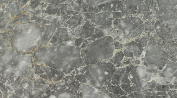 Forest Grey