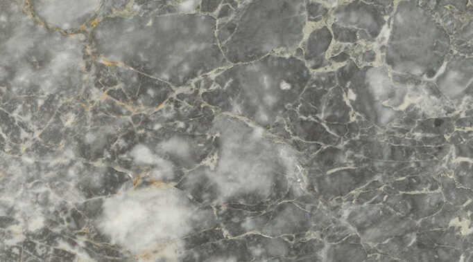 Forest Grey
