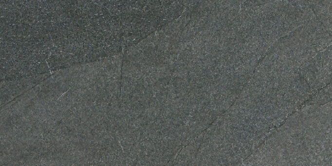 Halley Argent